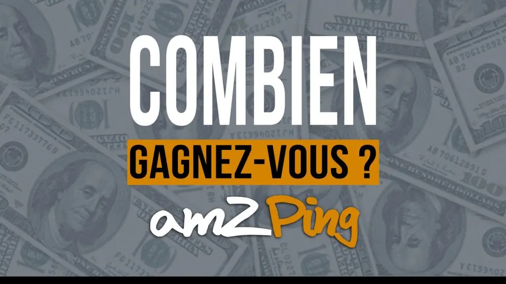 AMZPING : COMBIEN VOUS RAPPORTE VRAIMENT VOTRE BUSINESS AMAZON FBA ?