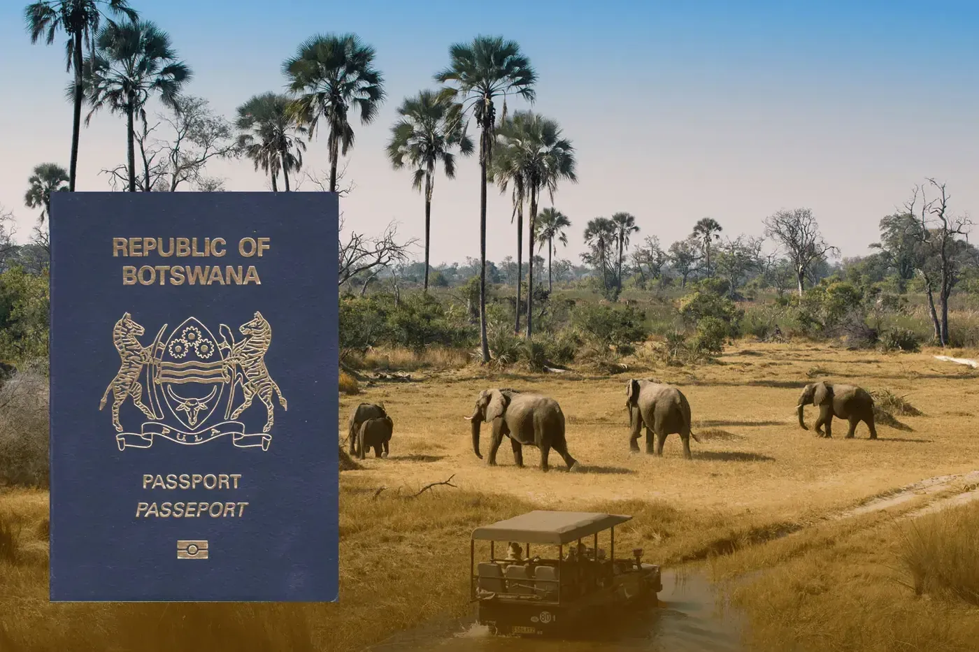 Botswana nationalité : tout sur le nouveau programme de citoyenneté par investissement