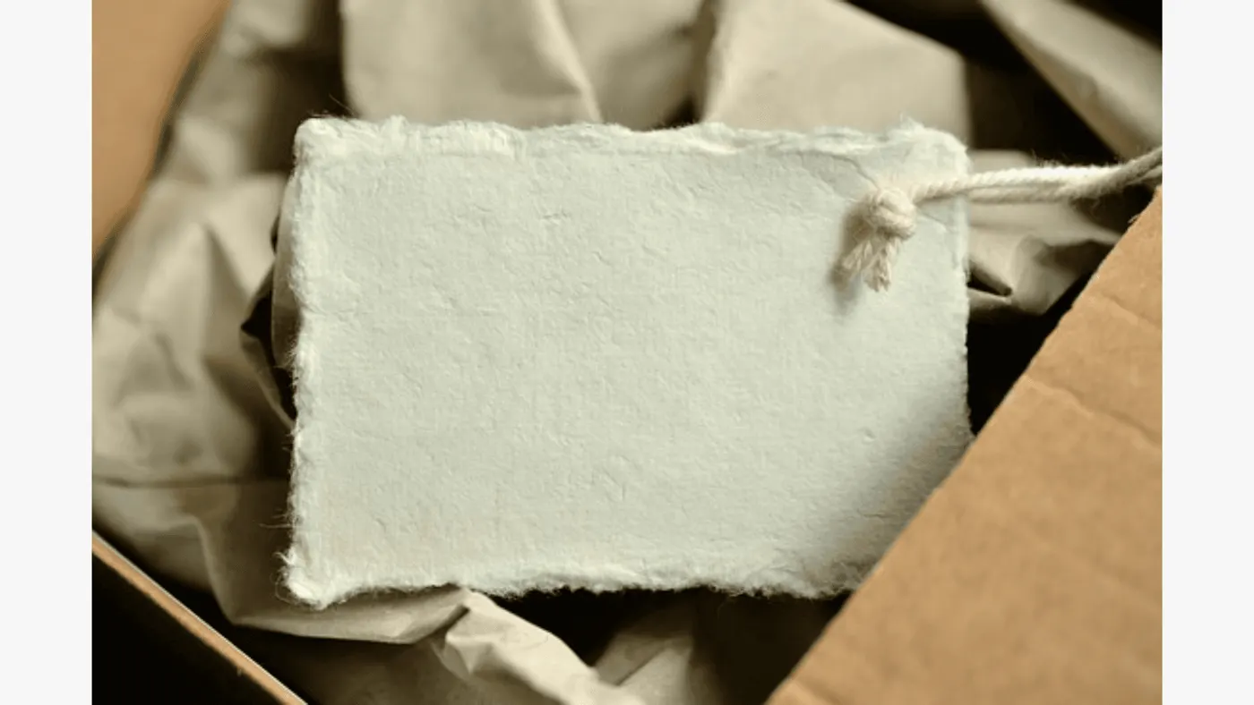 carton REP recyclage