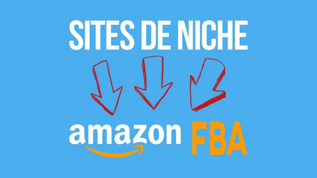 SITE DE NICHE ET AMAZON FBA