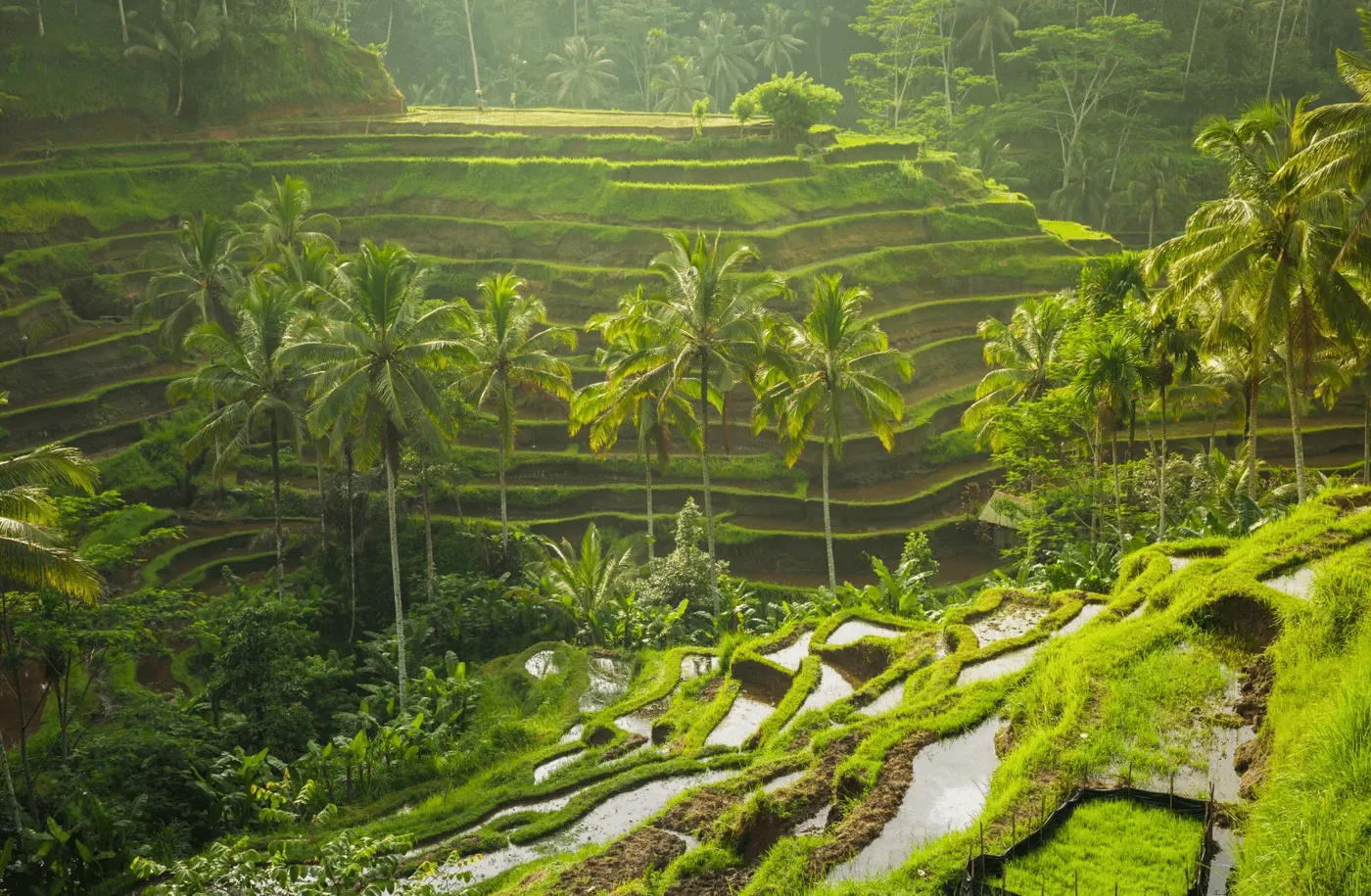 Est-ce que c'est bien de vivre à Bali ?