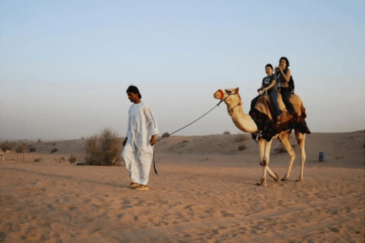 Les Traditions et la Culture de Dubai